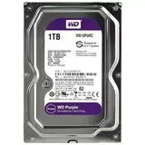 Жесткий диск Western Digital 1Tb Purple (WD10PURZ)