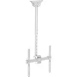 Потолочное крепление 26''-65" (Arm Media, LCD-1800) белый (10191)