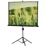 Экран на треноге Lumien Master View 153x203 см Matte White FiberGlass (LMV-100107)