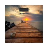 Весы напольные электронные Redmond RS-752 причал