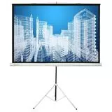 Экран для проектора Cactus 104.4x186см Triscreen (CS-PST-104X186)