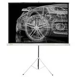 Экран для проектора Cactus 124.5x221 см Triscreen (CS-PST-124X221)