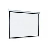 Экран настенный Lumien Eco Picture 164х240см Matte White (LEP-100118)