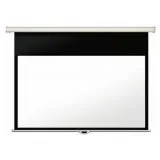 Экран настенный Lumien Master Picture CSR 247x239см Matte White (LMP-100118CSR)