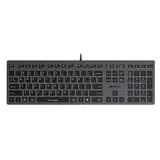 Клавиатура A4 Tech Fstyler FX60 slim Multimedia USB, белая подсветка, серый (FX60 GREY / WHITE)