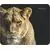 Коврик Defender WILD ANIMALS (50803), фото 2