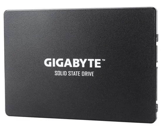 Накопитель SSD 256Gb Gigabyte (GP-GSTFS31256GTND), фото 2
