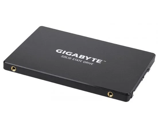 Накопитель SSD 256Gb Gigabyte (GP-GSTFS31256GTND), фото 3