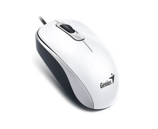 Мышь Genius DX-110 USB, White (31010116102), Цвет: Белый