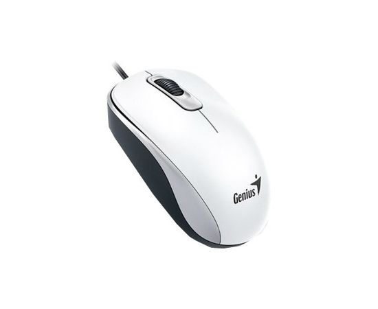 Мышь Genius DX-110 USB, White (31010009401)