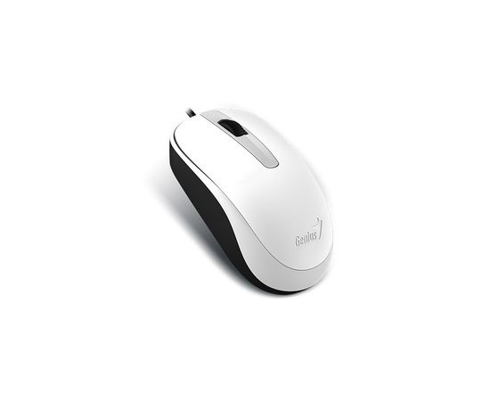 Мышь Genius DX-120 USB, White, белый (31010010401), Цвет: Белый
