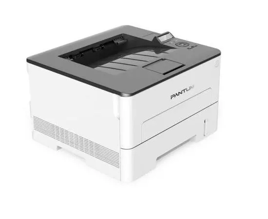 Принтер Pantum P3010D