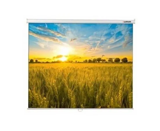 Экран настенный Lumien Eco Picture 200х200 см Matte White (LEP-100103)