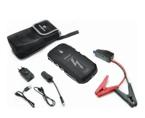 Зарядное устройство Berkut JSL-15000, фото 2