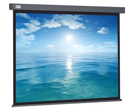 Экран для проектора Cactus 104.4x186 см Wallscreen, серый (CS-PSW-104X186-SG)