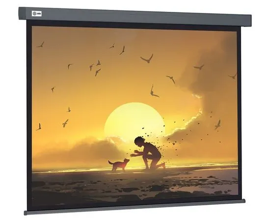 Экран для проектора Cactus 124.5x221см Wallscreen, серый (CS-PSW-124X221-SG)