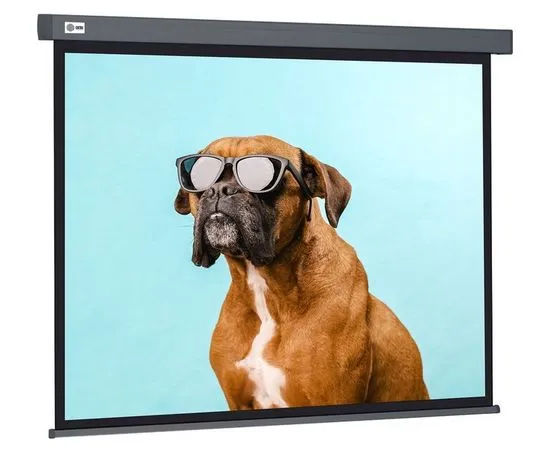 Экран для проектора Cactus 149.4x265.7см Wallscreen, серый (CS-PSW-149X265-SG)