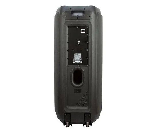 Портативная акустика ELTRONIC 20-56 12", фото 3