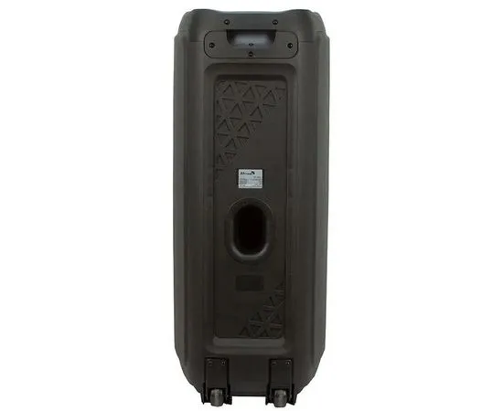 Портативная акустика ELTRONIC Fire Box 800, 10" (20-53), фото 4