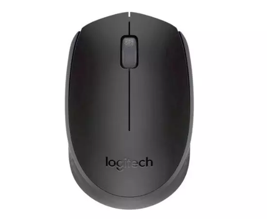 Мышь Logitech M171 Black (910-004643)