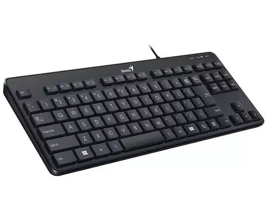 Клавиатура Genius LuxeMate 110 USB (31300012404), фото 2