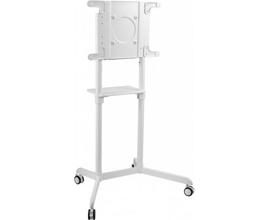 Мобильная стойка 37"-70" (Cactus, CS-ST1146WT) белый