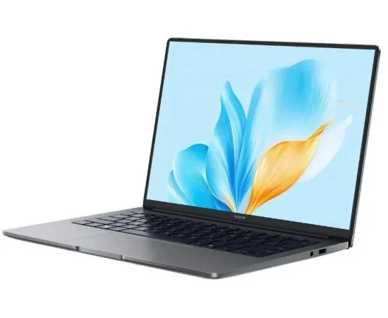 Ноутбук Huawei Honor MagicBook X14 (5301ALXL), фото 2