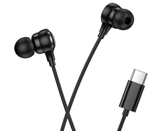 Наушники с микрофоном HOCO M116 Benevolent, черный, Type-C (6942007644976), фото 2